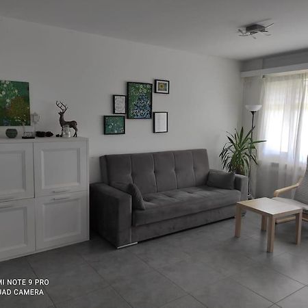 Green Apartment Ponte Capriasca Luaran gambar
